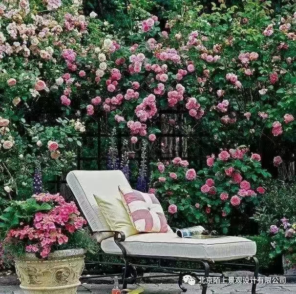 6192191fe46d994098bef8de13d73ec.jpg