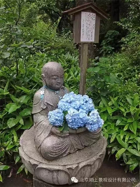 1660810021904497.jpg 77b62c38df8b32ce86f36c3e0e283cd.jpg