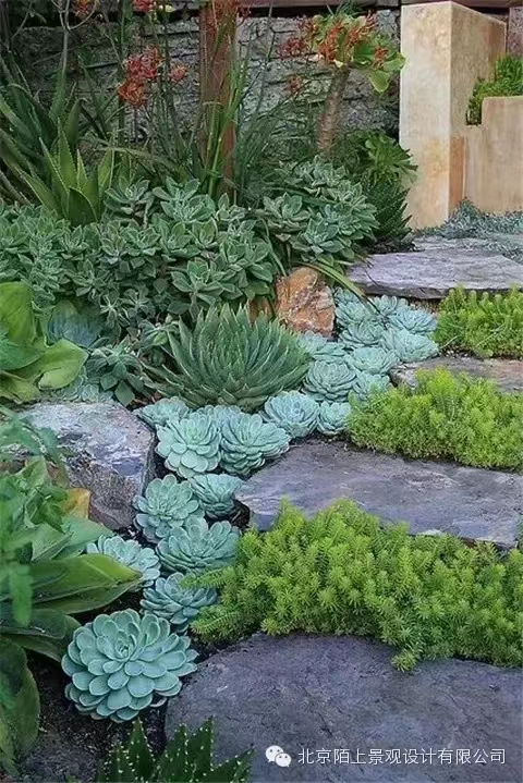 1660810065304761.jpg 92b5c3bd17f798dfd1ca8bb681e55fc.jpg