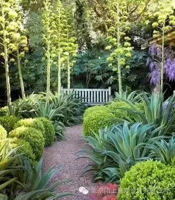 1669783607829711.jpg 07eea53335ee5850e1a0f174f33f89f.jpg